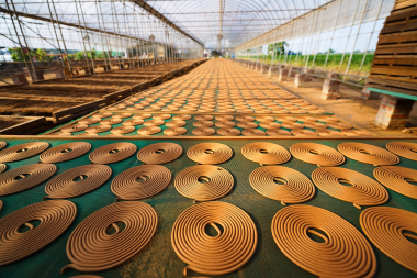 新港香藝文化園區照片