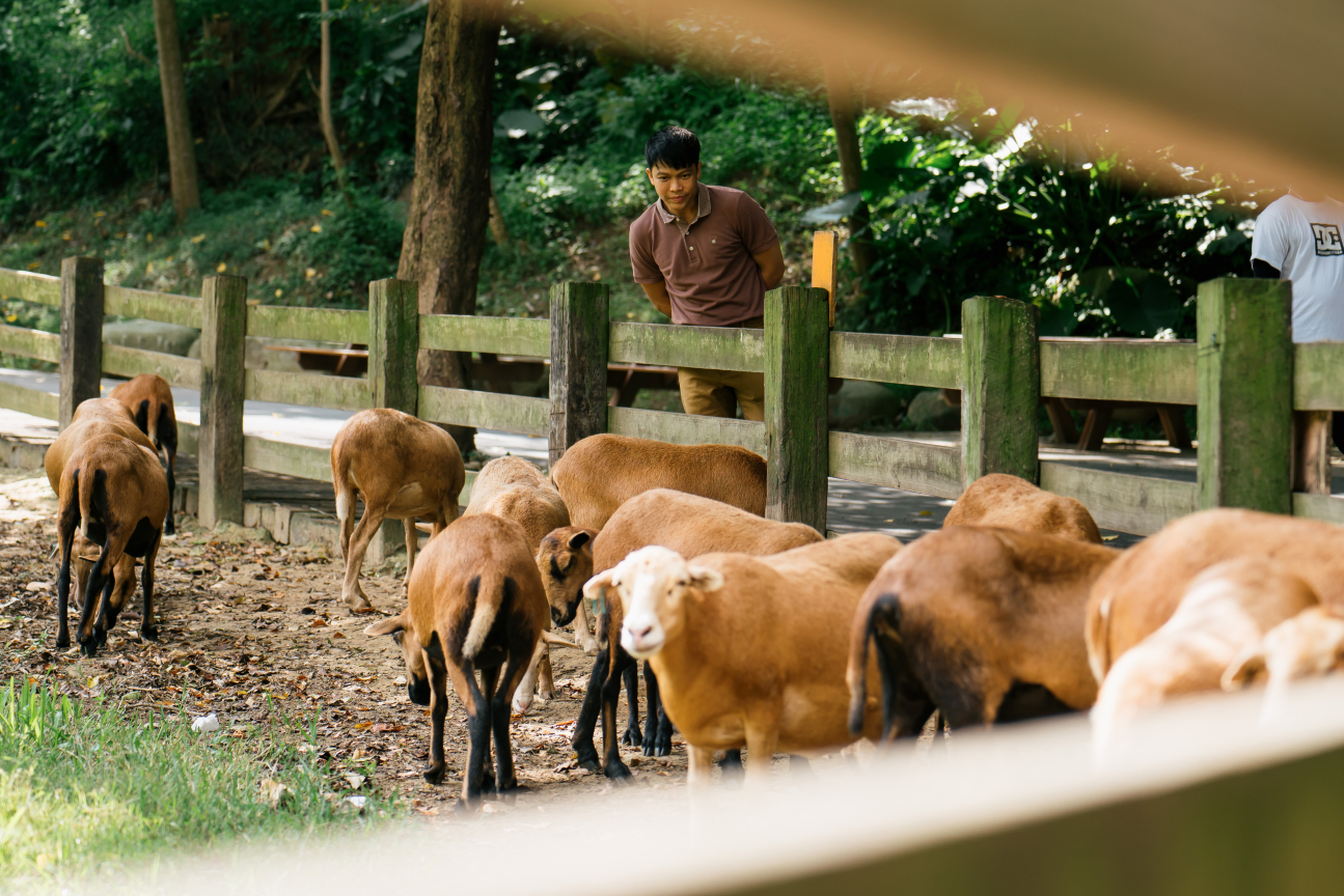 113年見學之旅-飛牛牧場