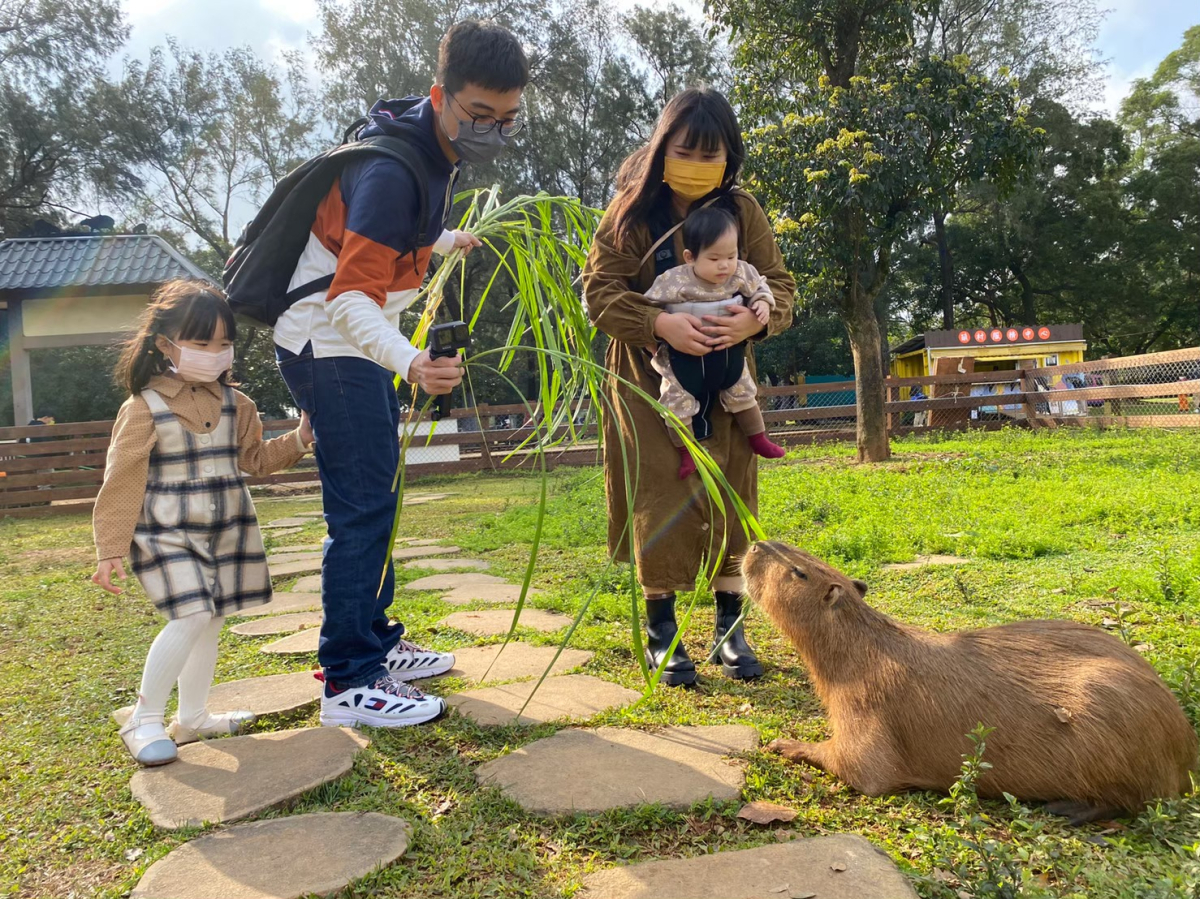 埔心牧場