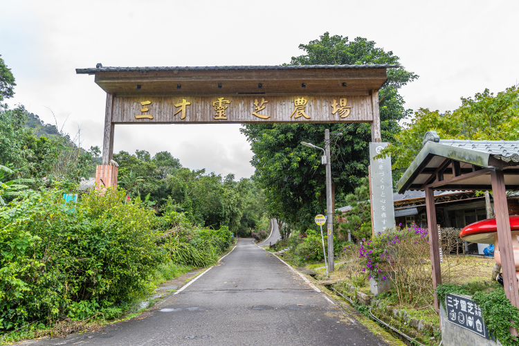 三才靈芝農場民宿封面圖