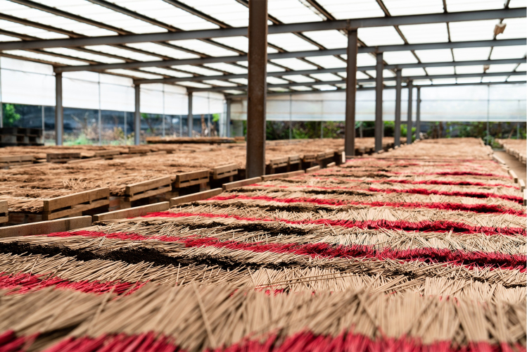 新港香藝文化園區封面圖