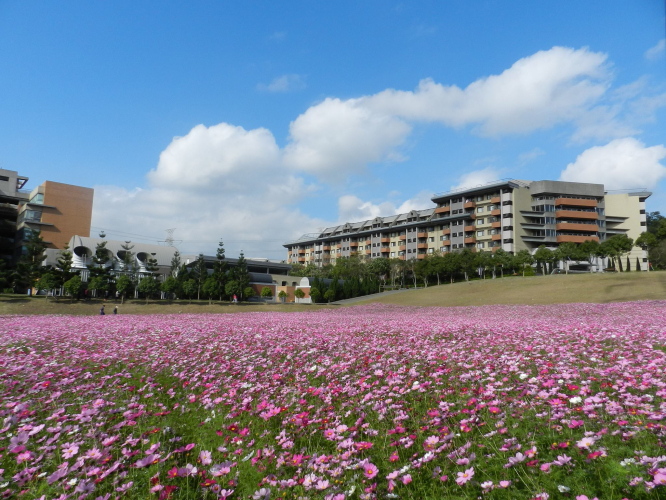 長庚養生文化村封面圖