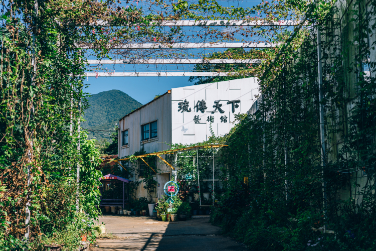 琉傳天下琉星花園封面圖