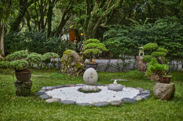 陽明山春天 心五藝文創園區封面圖