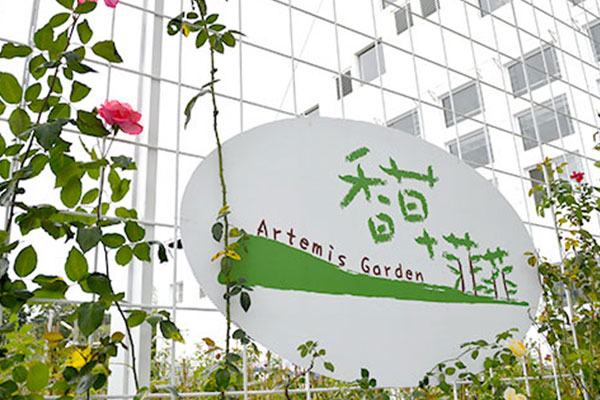 香草菲菲封面圖