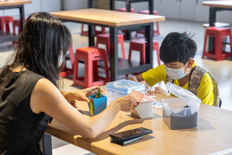 樹德半山夢工廠封面圖