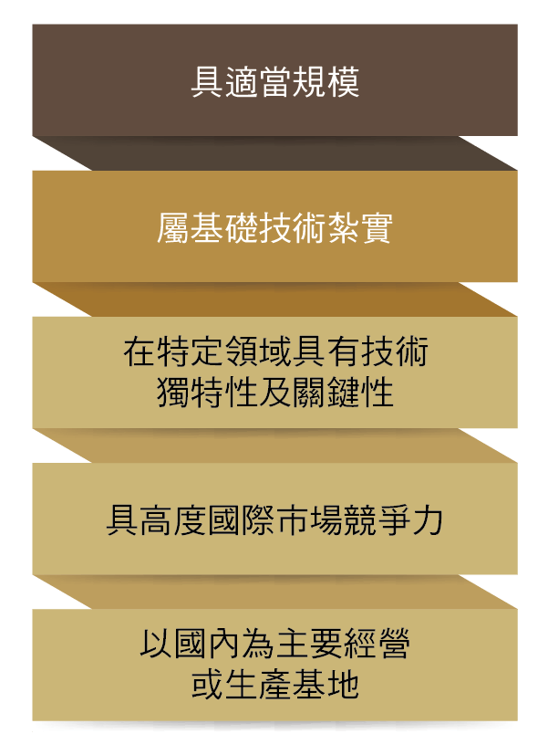 具適當規模、屬基礎技術紮實、在特定領域具有技術獨特性及關鍵性、具高度國際市場競爭力、以國內為主要經營或生產基地