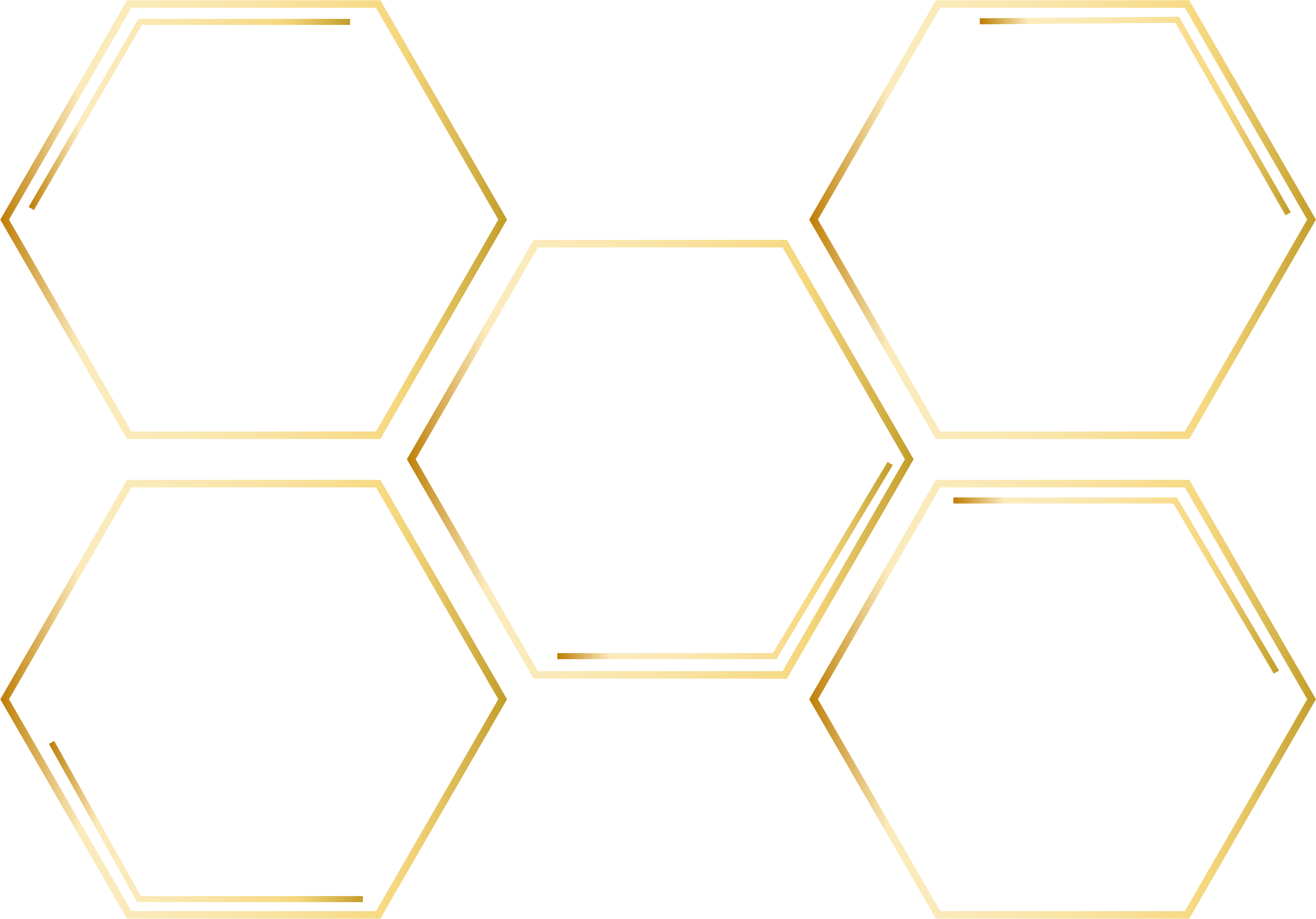 關鍵技術或服務模式、顧客與市場、領導與經營策略、研發創新、品牌