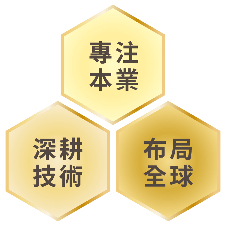 專注本業、深耕技術、布局全球