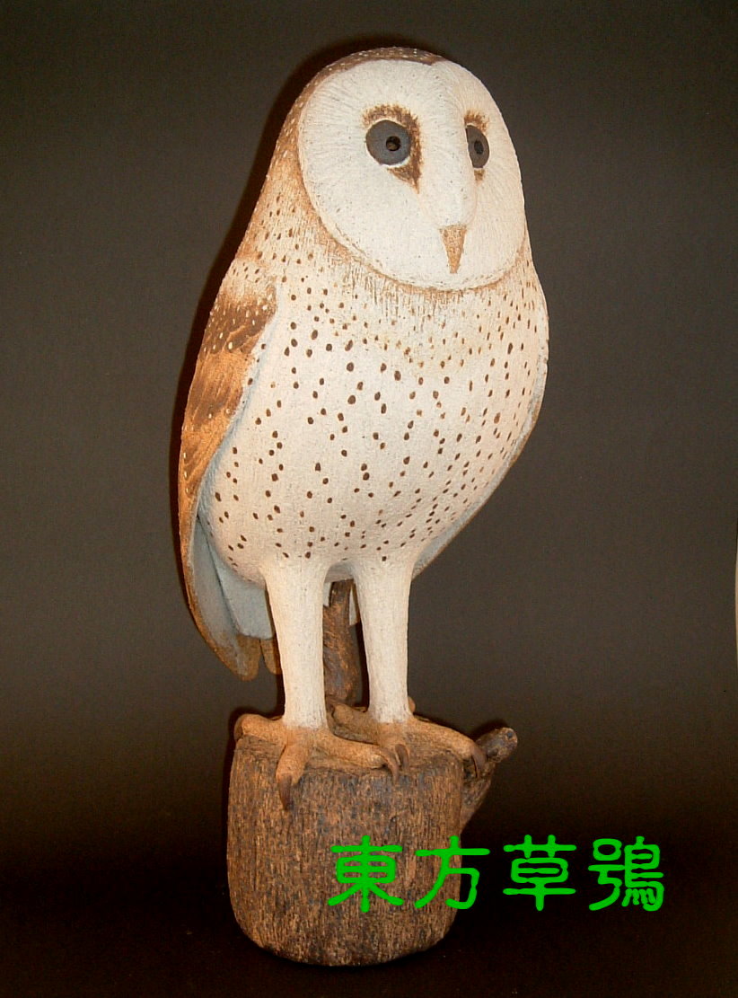 裝飾陶瓷-台灣(特)亞種貓頭鷹擬真版-東方草鴞