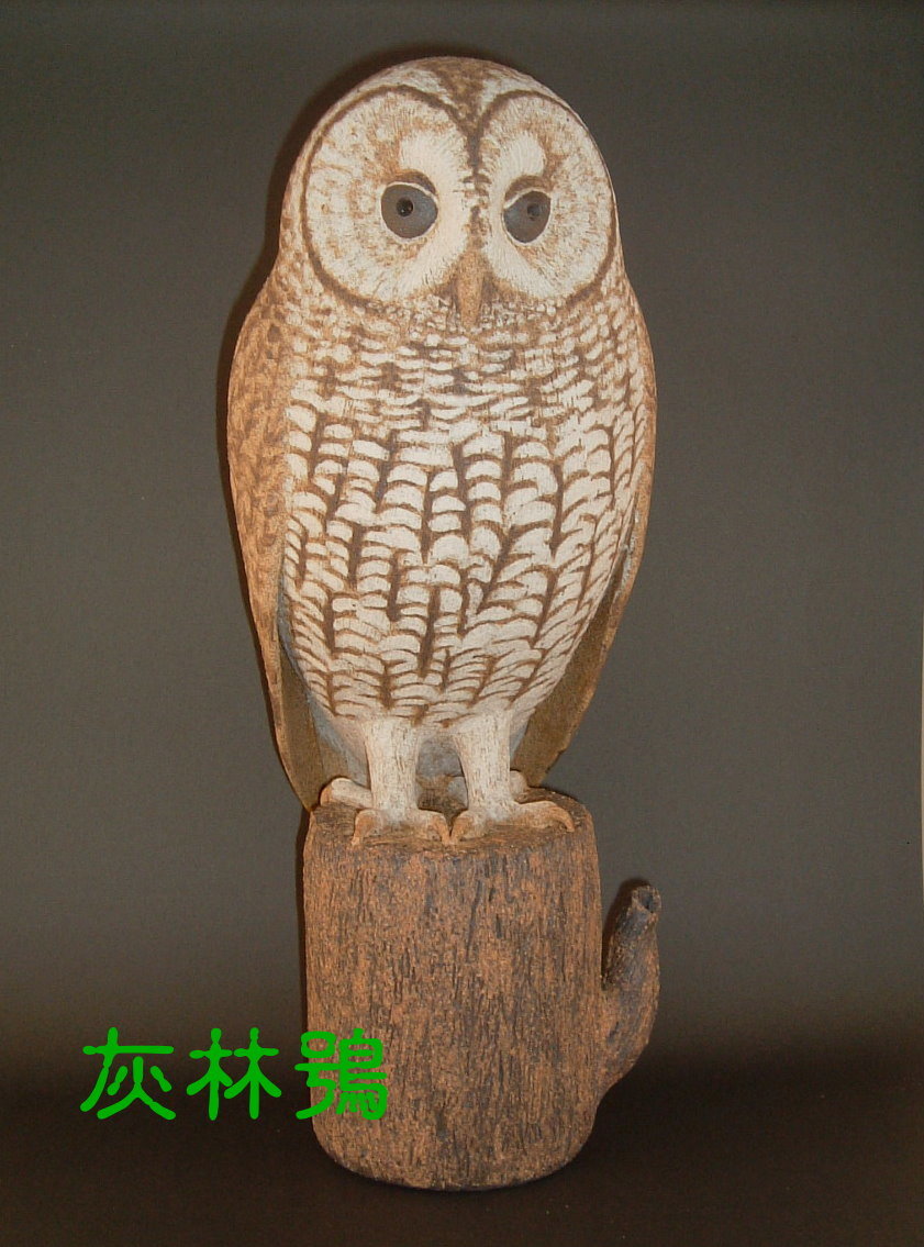 裝飾陶瓷-台灣(特)亞種貓頭鷹擬真版-灰林鴞
