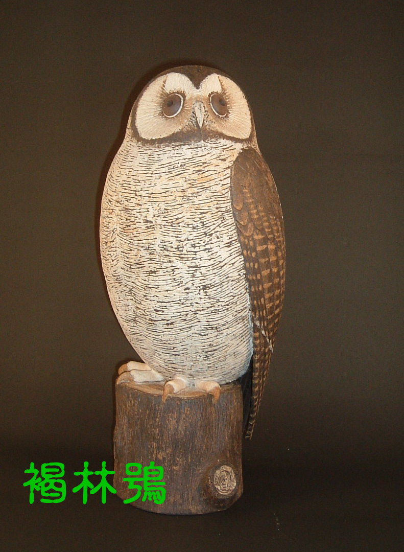 裝飾陶瓷-台灣(特)亞種貓頭鷹擬真版-褐林鴞