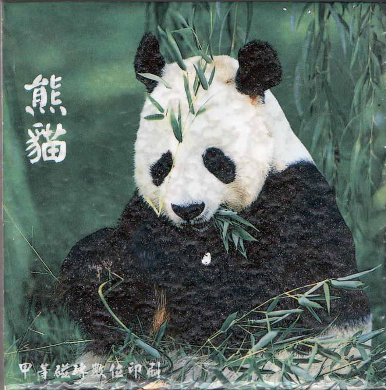 建築陶瓷-II類-內裝壁磚