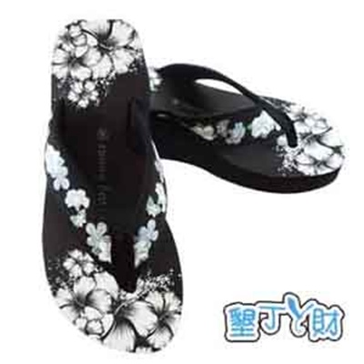 扶桑花