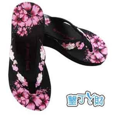 扶桑花