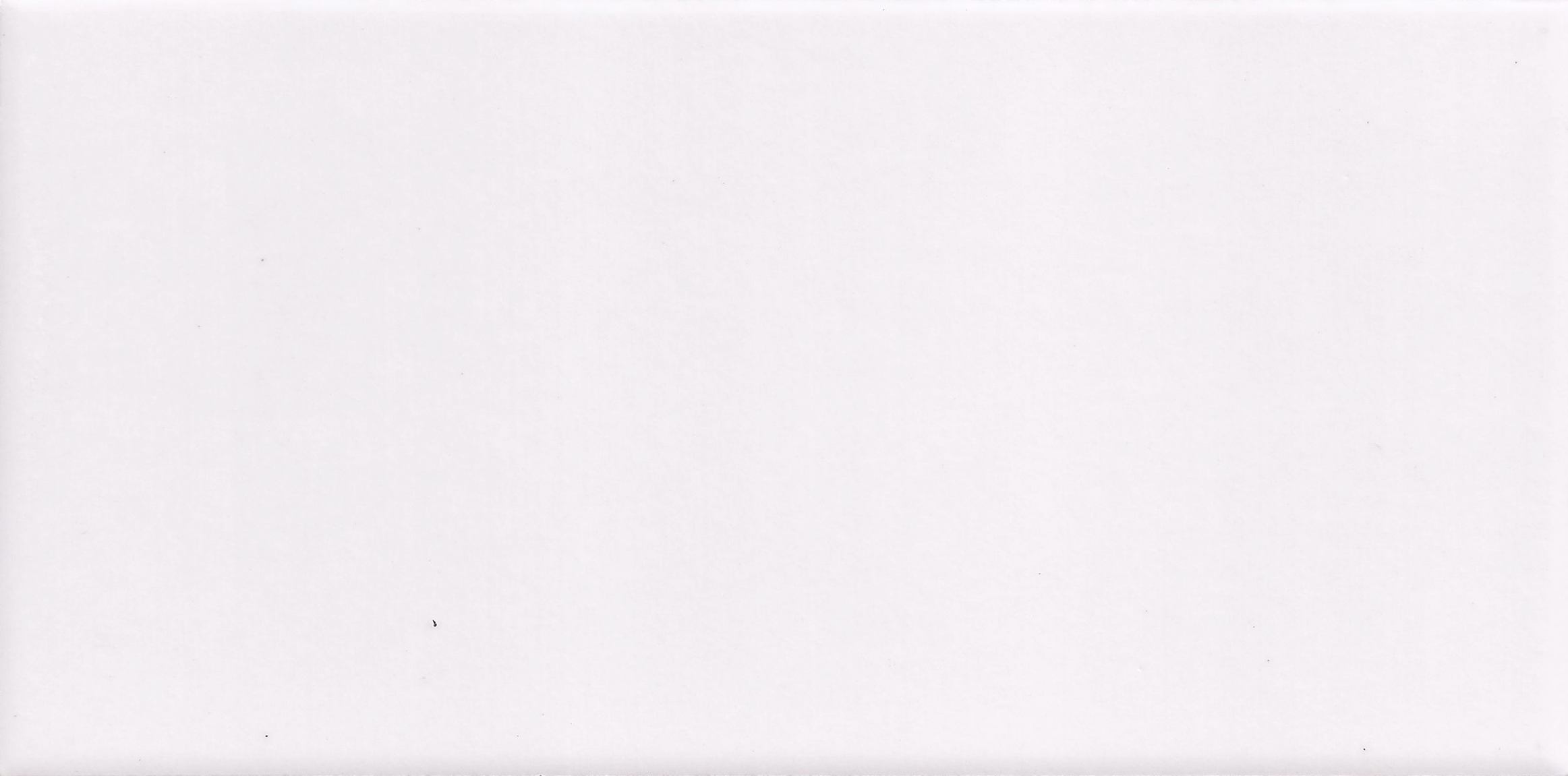 建築陶瓷-III類-內裝壁磚