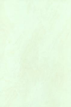 建築陶瓷-III類-內裝壁磚