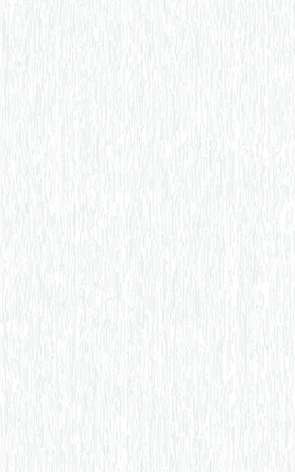 建築陶瓷-III類-內裝壁磚