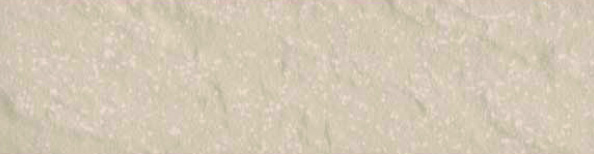 建築陶瓷-II類-內裝壁磚