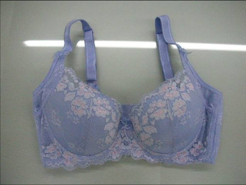 機能型女性內衣