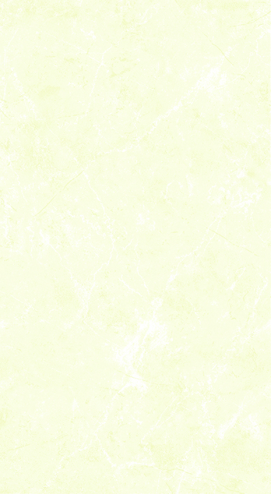 建築陶瓷-III類-內裝壁磚