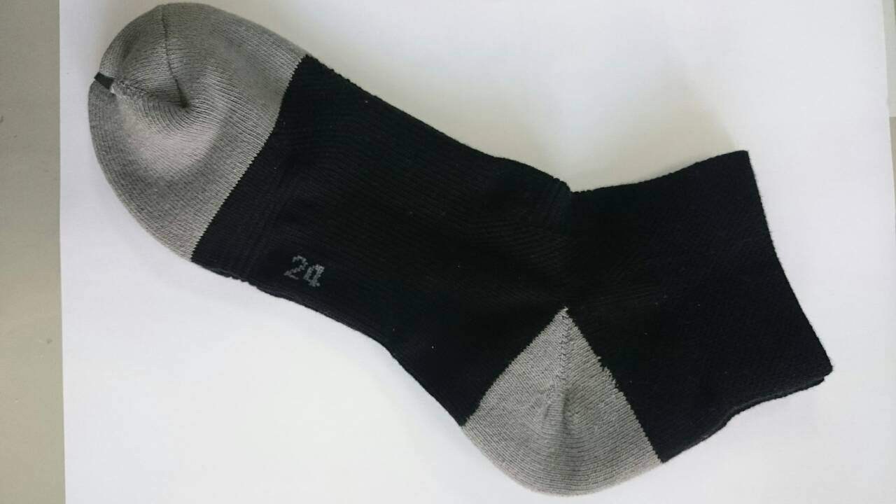 登山健走准將