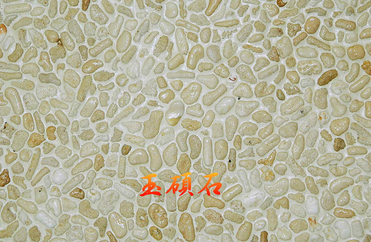 建築石材-其他-石材馬賽克YSA009#3 米貝石