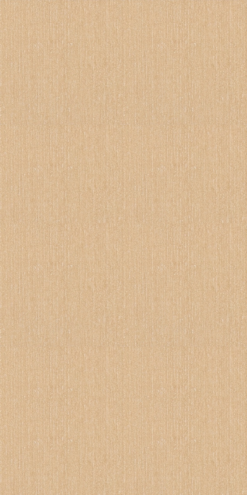 極簡風