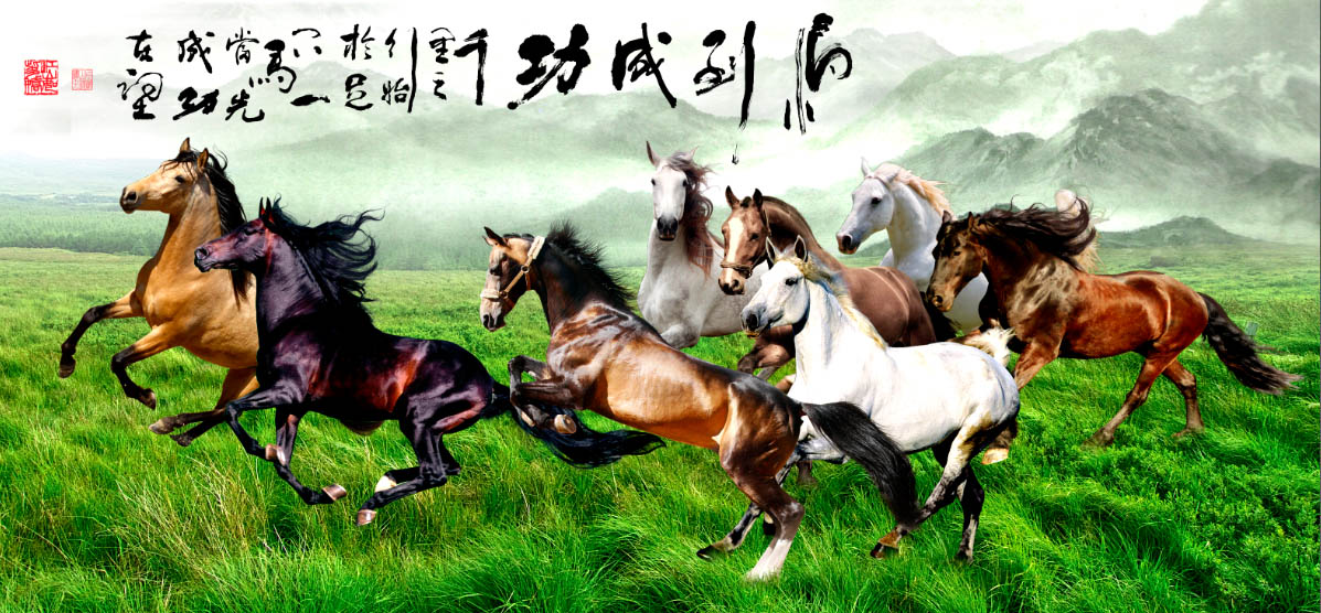 建築陶瓷-III類-內裝壁磚 - GTH001