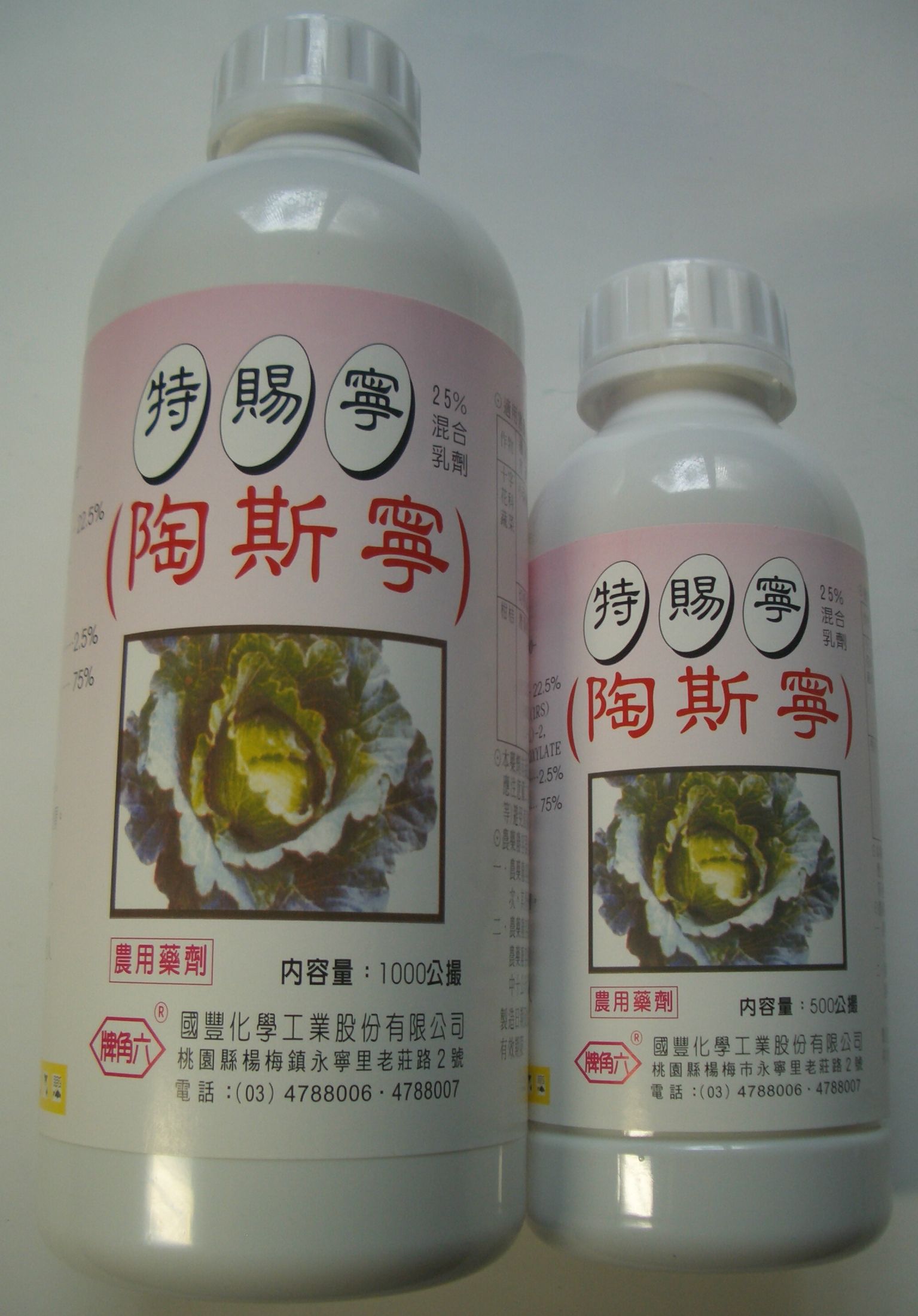 特賜寧