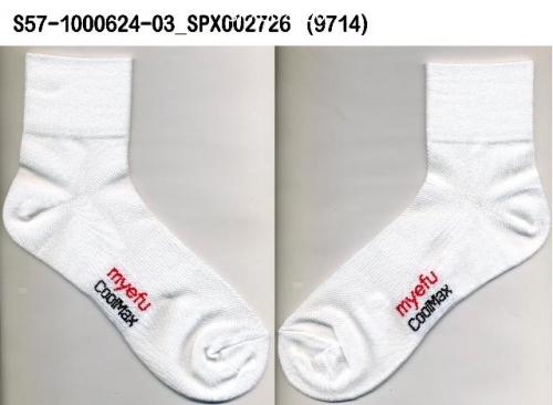 吸濕排汗除臭抗菌襪