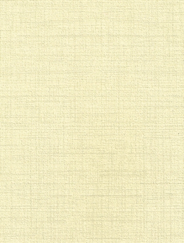 建築陶瓷-III類-內裝壁磚