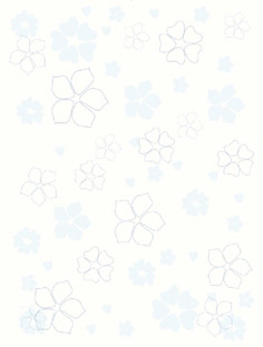 建築陶瓷-III類-內裝壁磚