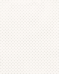 建築陶瓷-III類-內裝壁磚圖片