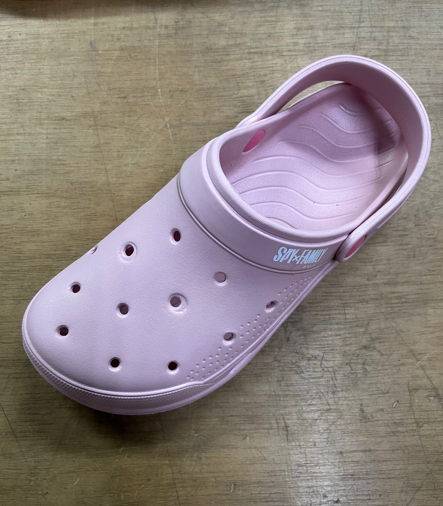 SF輕便布希洞洞鞋