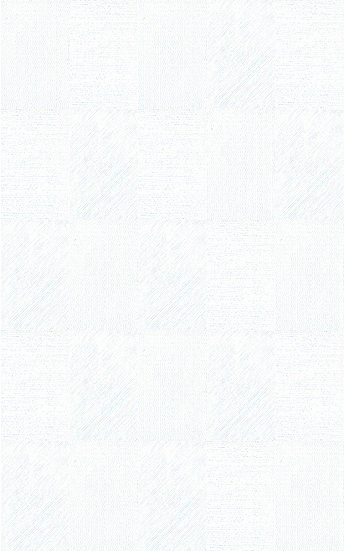 III類內裝壁磚