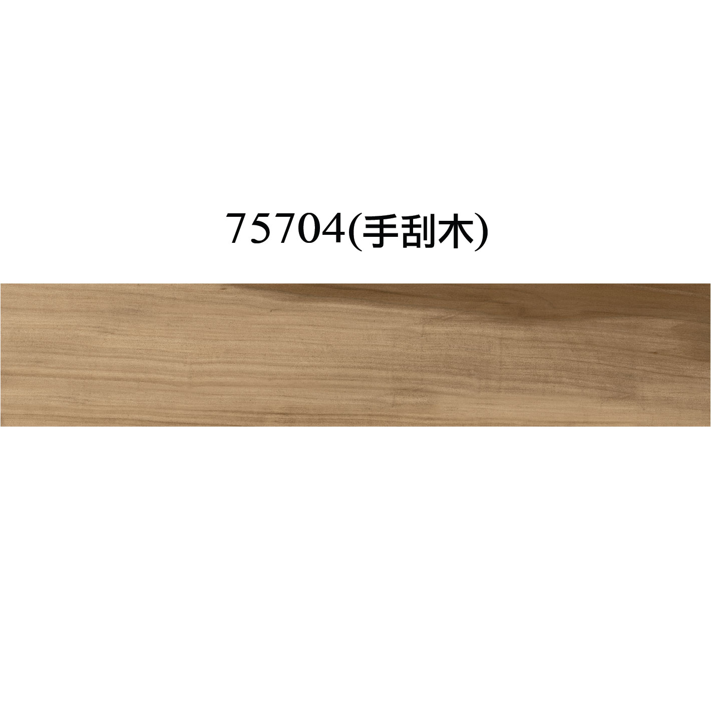 多洛米堤