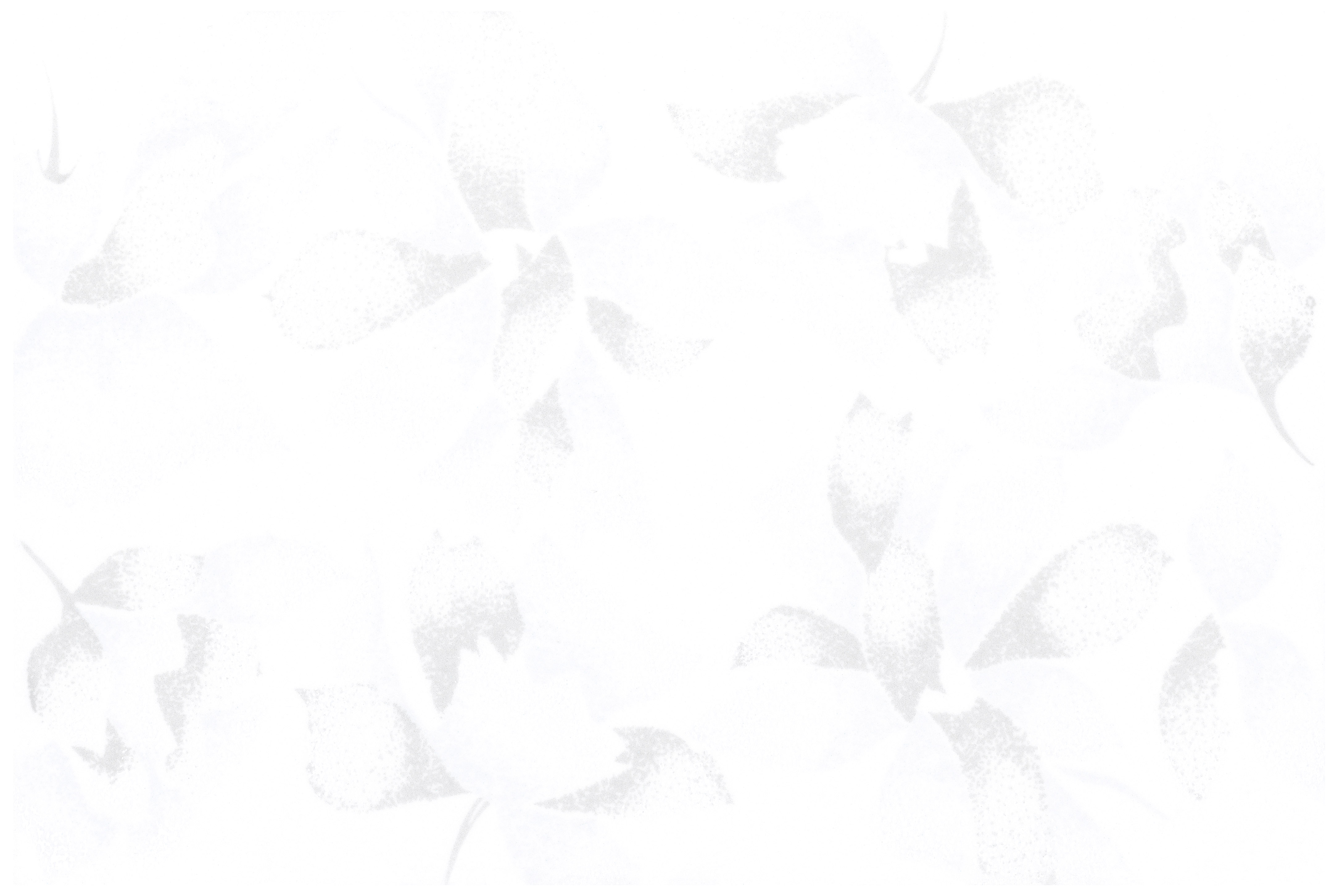 III類-內裝壁磚