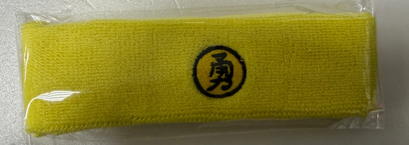 素色棉質吸汗毛巾運動頭帶