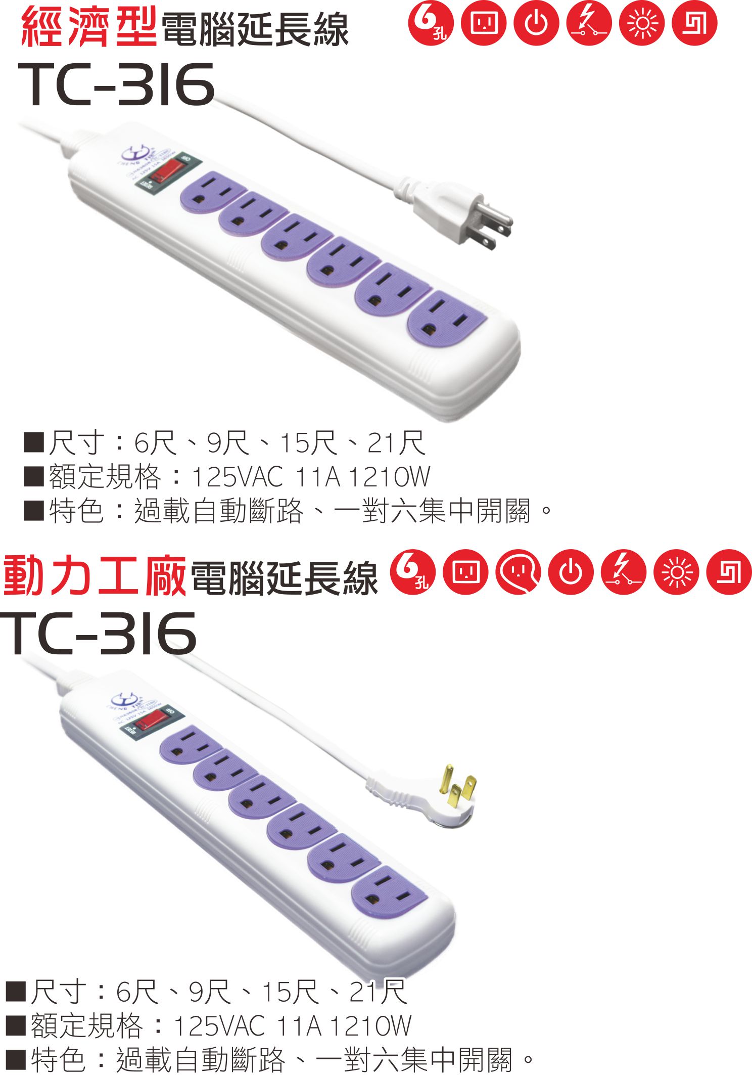 2極接地型125V轉接電源線組