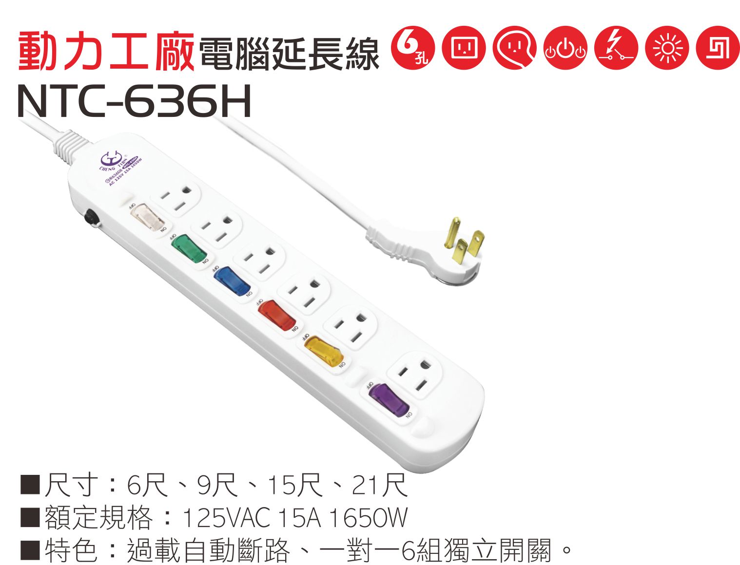 2極接地型125V轉接電源線組