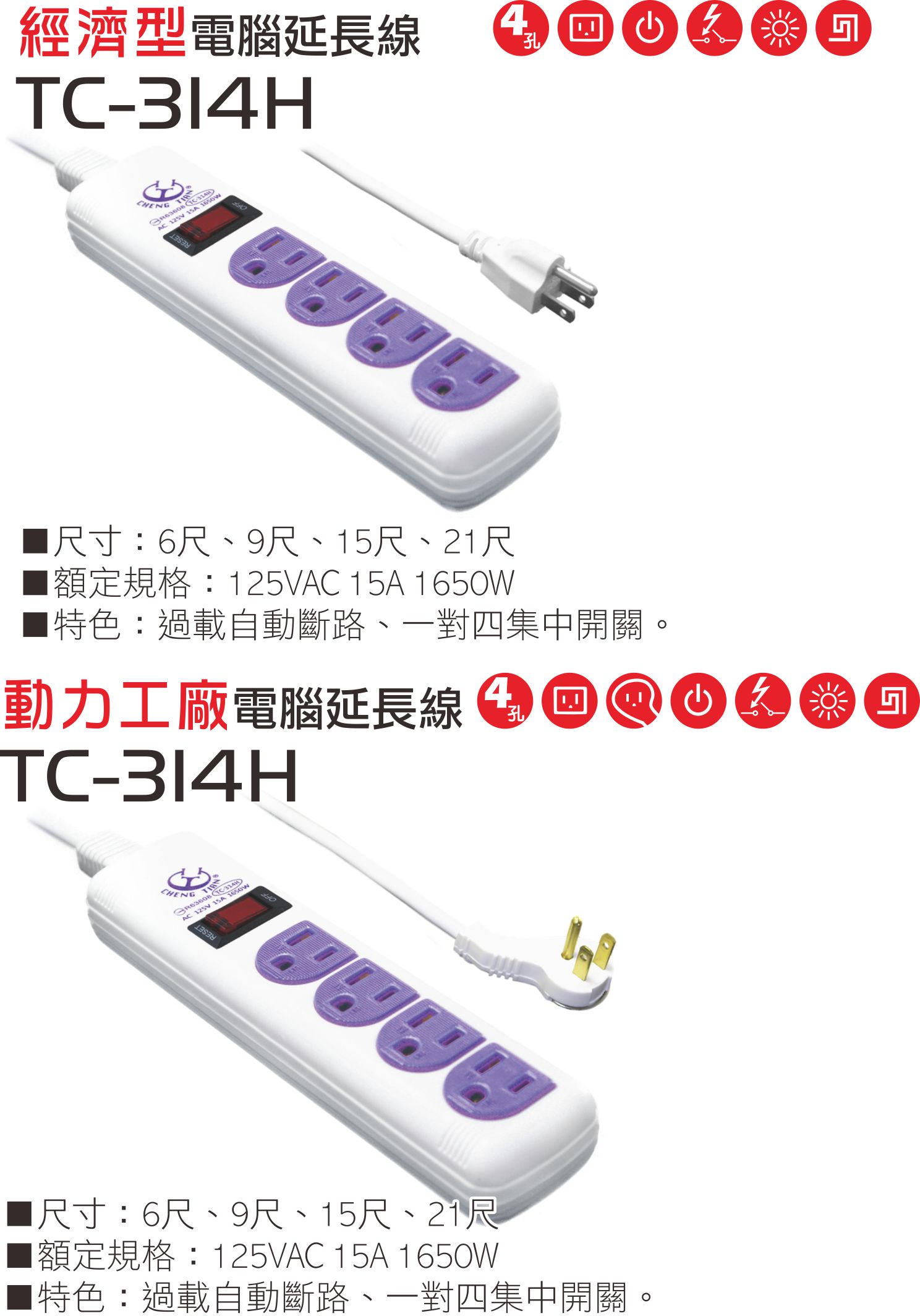 2極接地型125V轉接電源線組