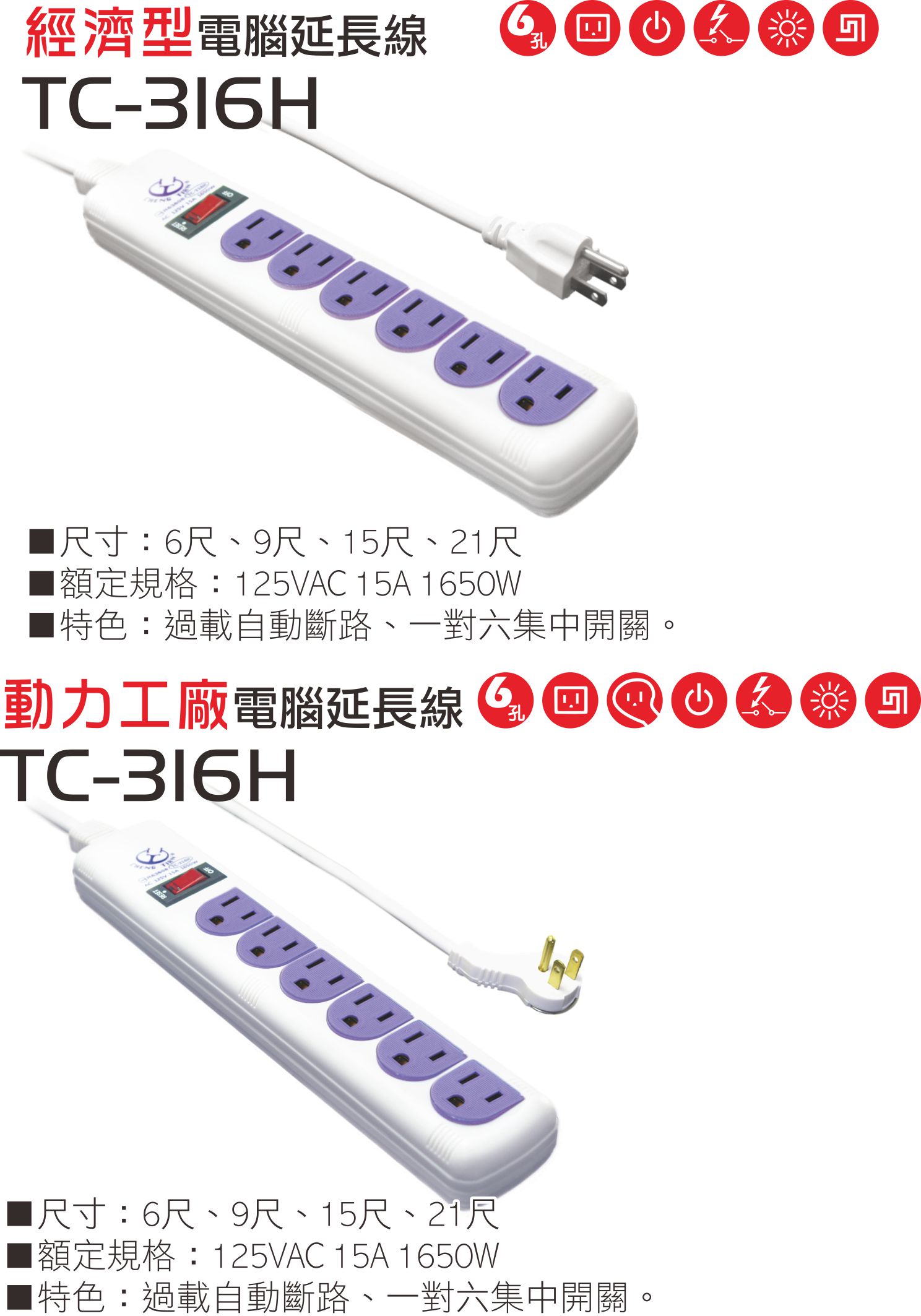 2極接地型125V轉接電源線組