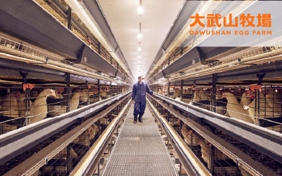 製造品質典範獎_大武山牧場科技股份有限公司