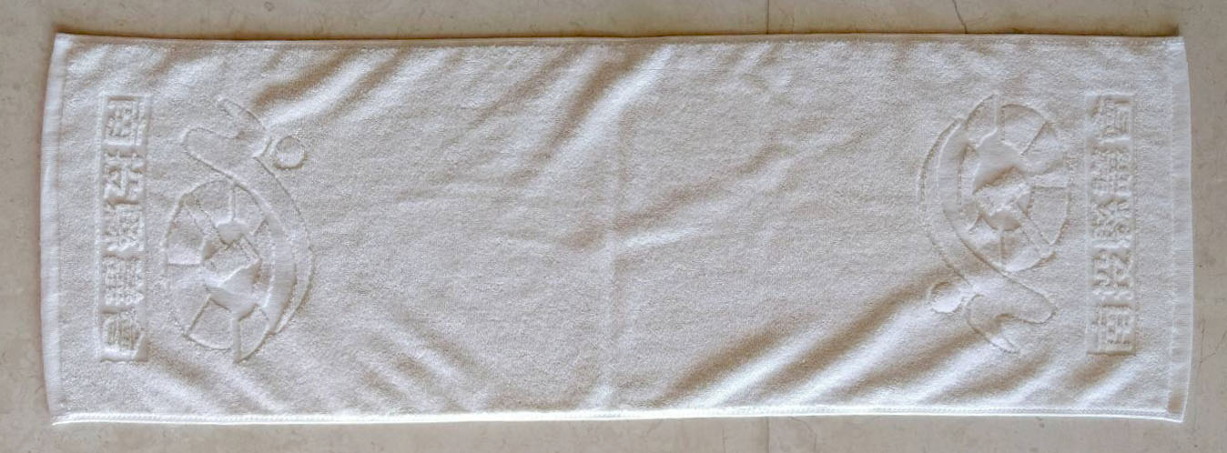 南投縣議會運動巾